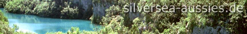 silversea-aussies.de